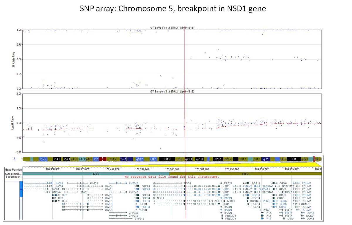 NUP98 image 7